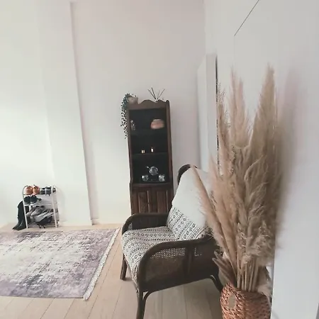 Mi Casa Es Su Casa * 根特